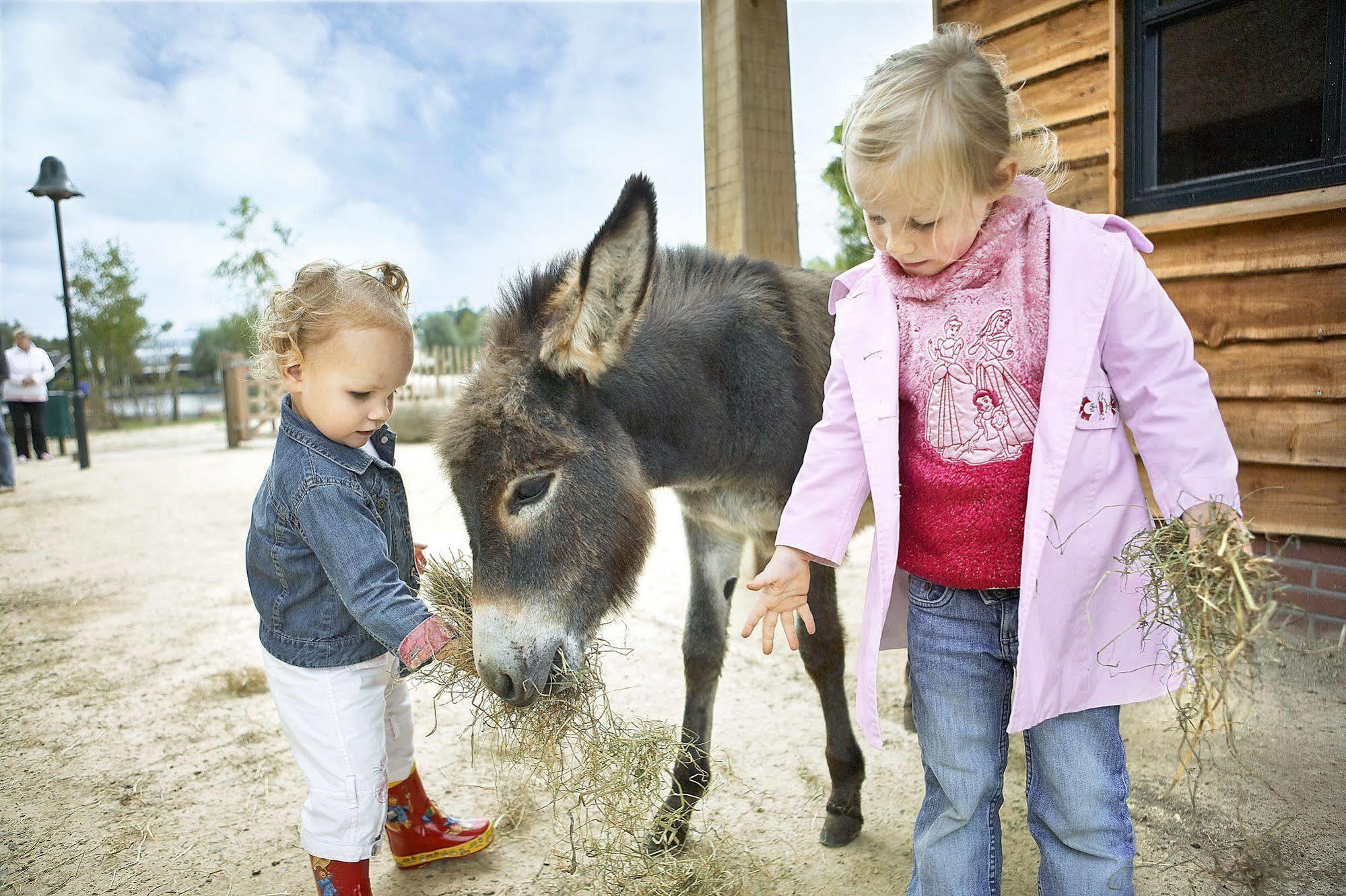 Center Parcs Huttenheugte Drenthe-Overijssel Dalen Екстериор снимка